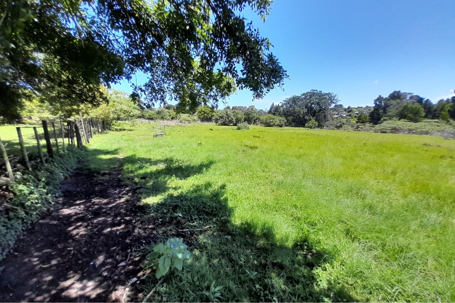 6 Bedroom Property for Sale in Wilderness Heights Western Cape